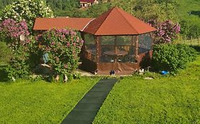 Nona Highland Home