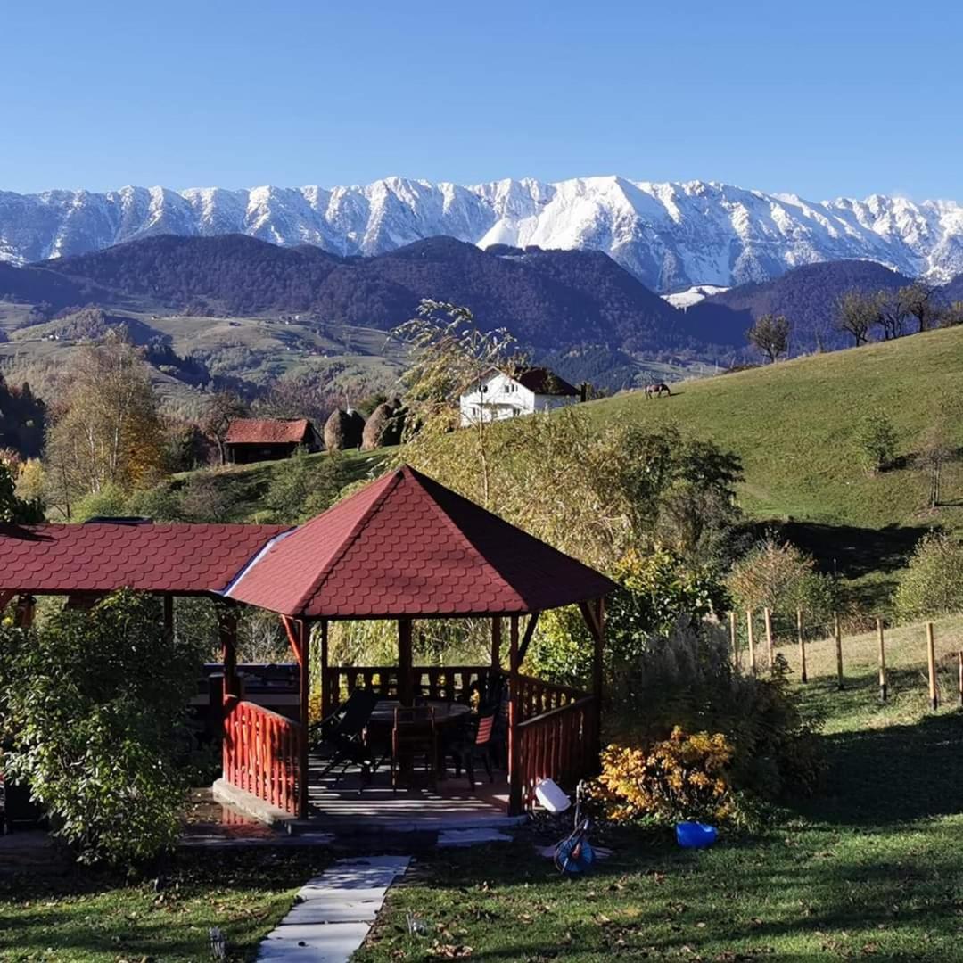 Nona Highland Home Moieciu de Jos Exterior foto